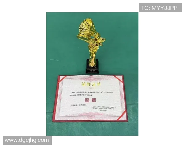 上海羽毛球队在挑战赛中以52分稳居积分榜首位展现强劲实力